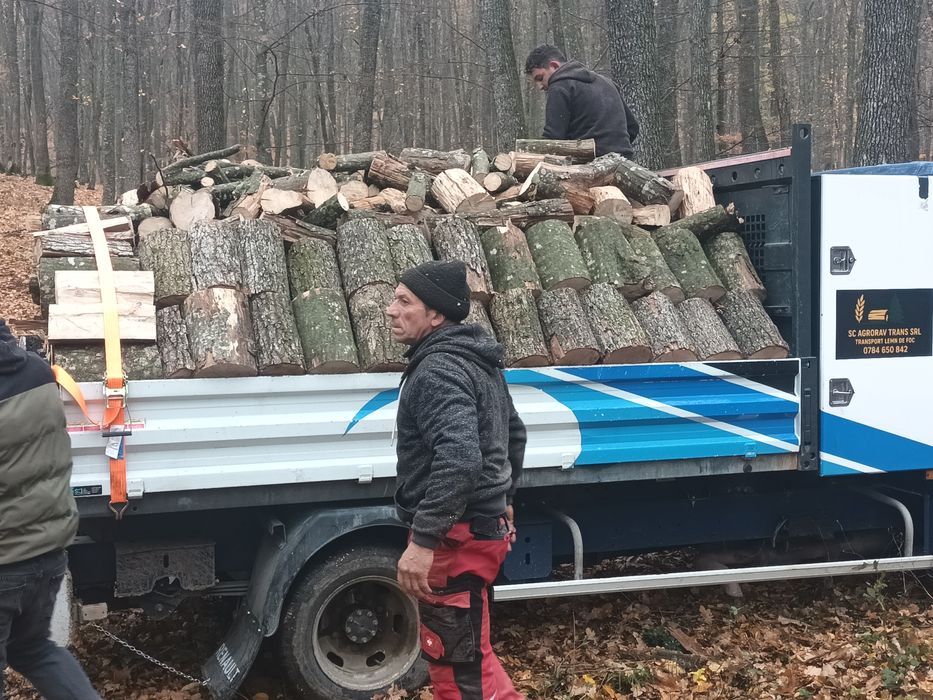 Lemne foc esență tare sau moale