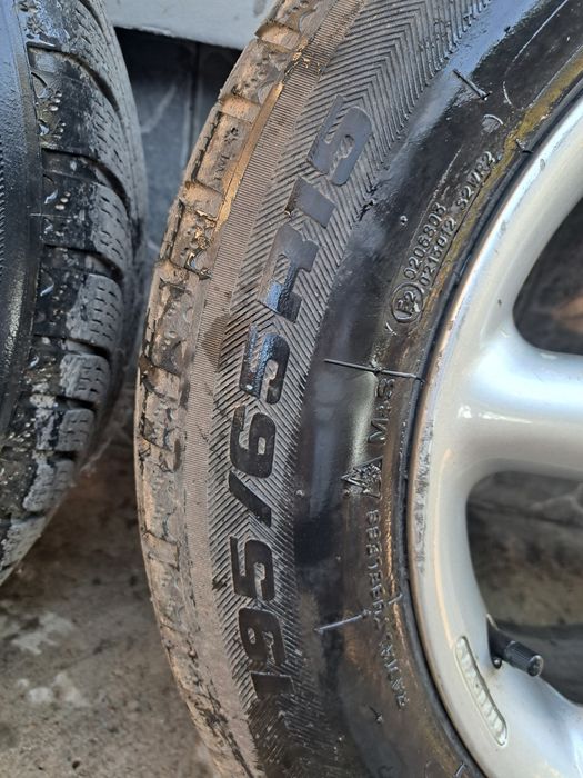 Roti de iarnă.  4x100   R15