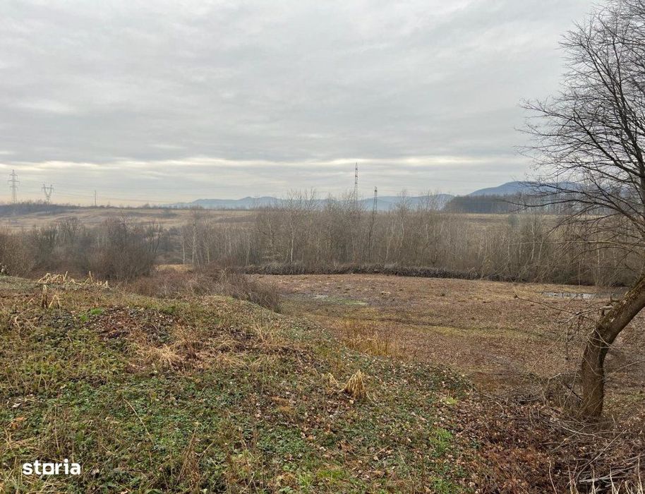 Teren intravilan Satu Nou de Jos ,25 ari