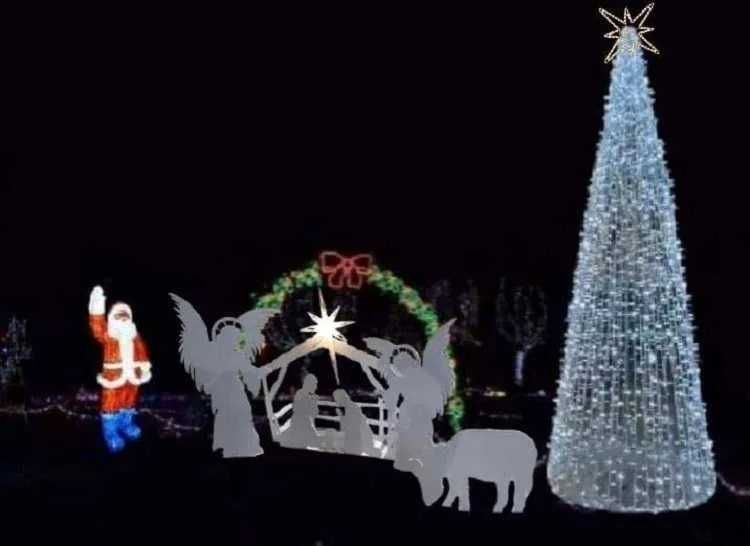 Brazi luminosi de exterior, iluminat festiv Craciun