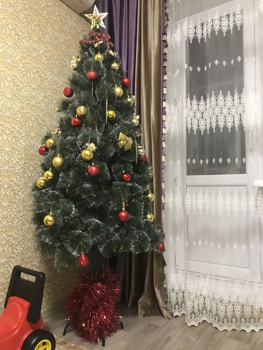 Елка елка 21000 тенге