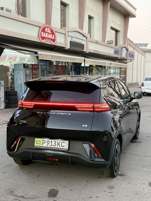 Arenda Nasiya Byd seagull