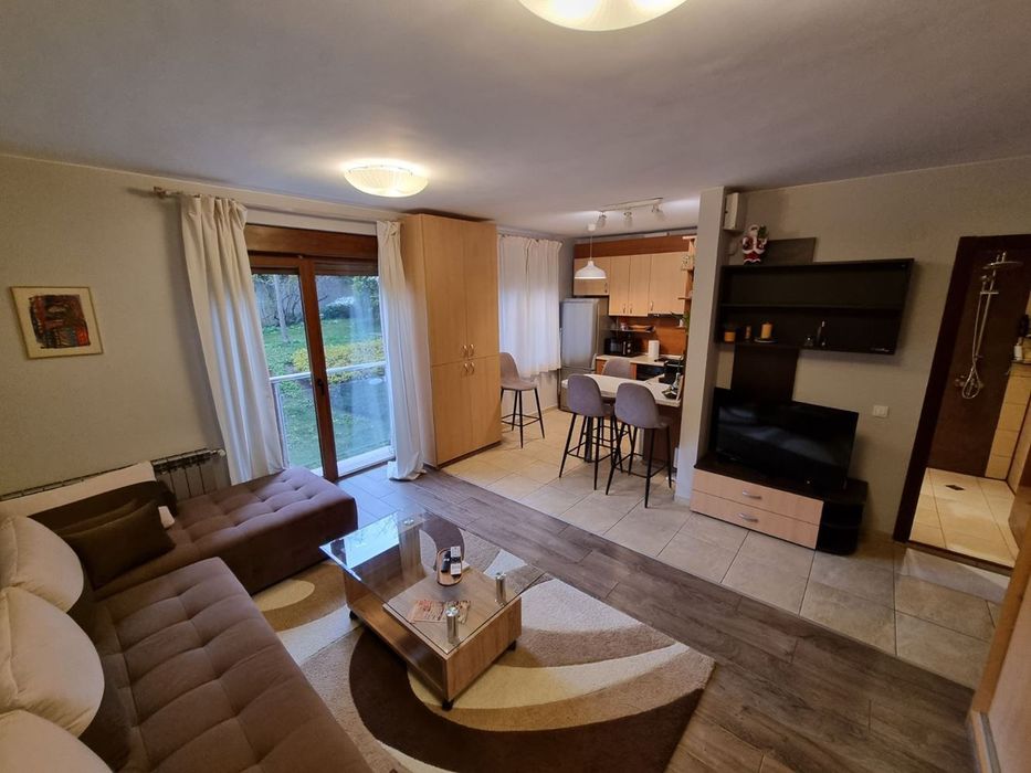 Дава се под наем Едностаен апартамент в София, Бояна - 50 кв.м за 459 € - Снимка #1