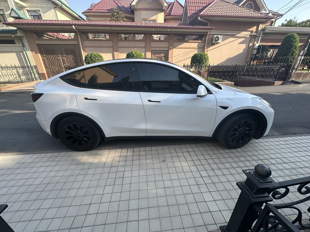 Tesla modul Y performance america
