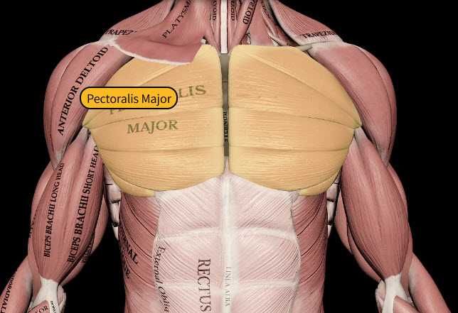 Курс „фитнес инструктор“