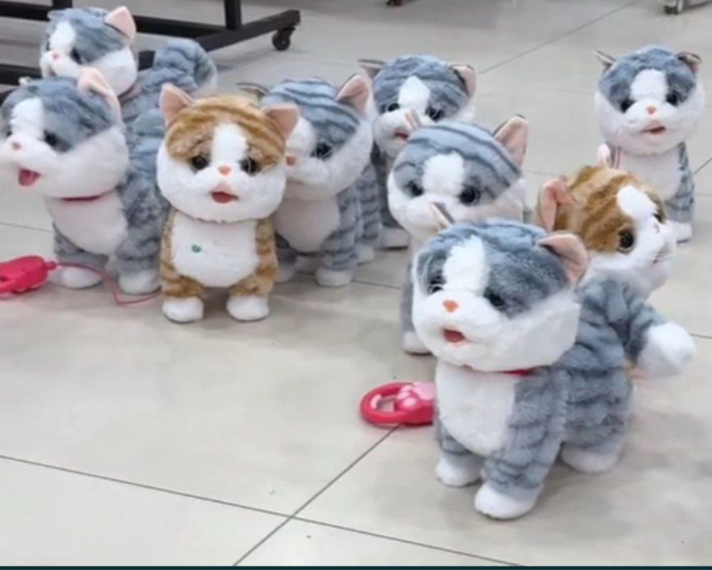 Говоряшая звуковой Кошка Игрушка Mushuk Детский машина