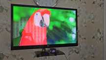 Телевизор LG 43 дюйма