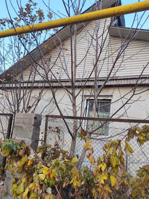 Орех отдам бесплатно