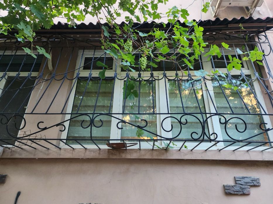 3/1/5  венгерский Сергели тумани