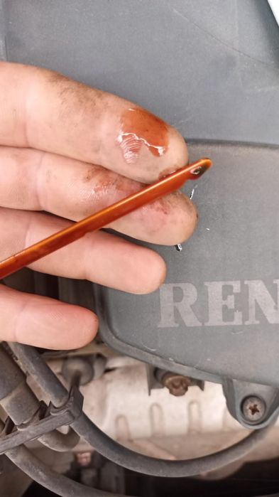 Logan 1.4. Din 2006 Laureate