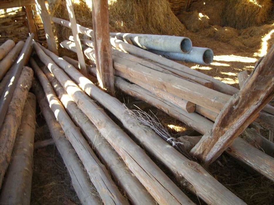 Предлага дървен материал- мертеци и греди