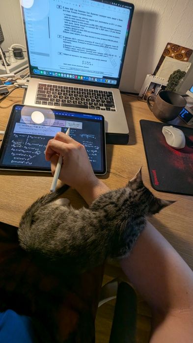 Котёнок в добрые руки!