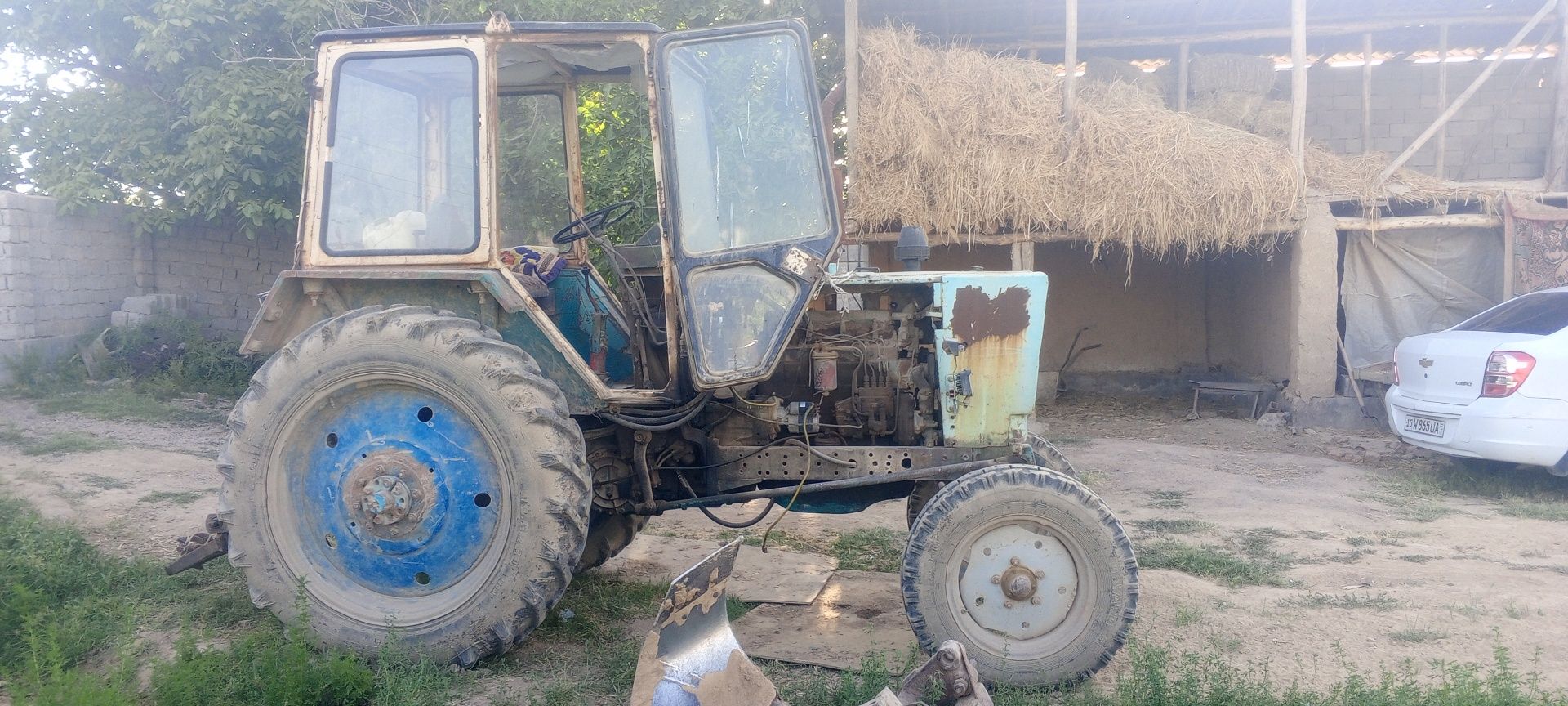 Yumizi sotiladi prsepi bilan qoʻshib naqadu