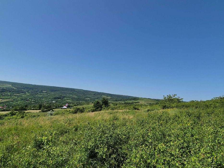 Teren intravilan Tomești-Goruni