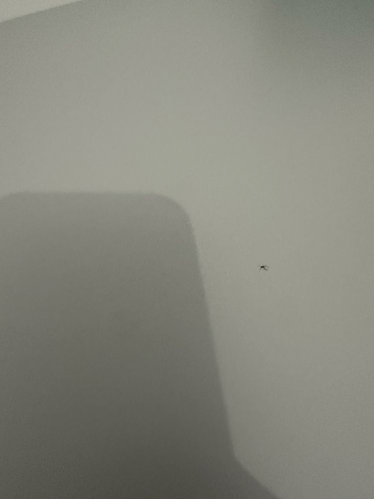 Masa copii Ikea Dundra + cadou puf