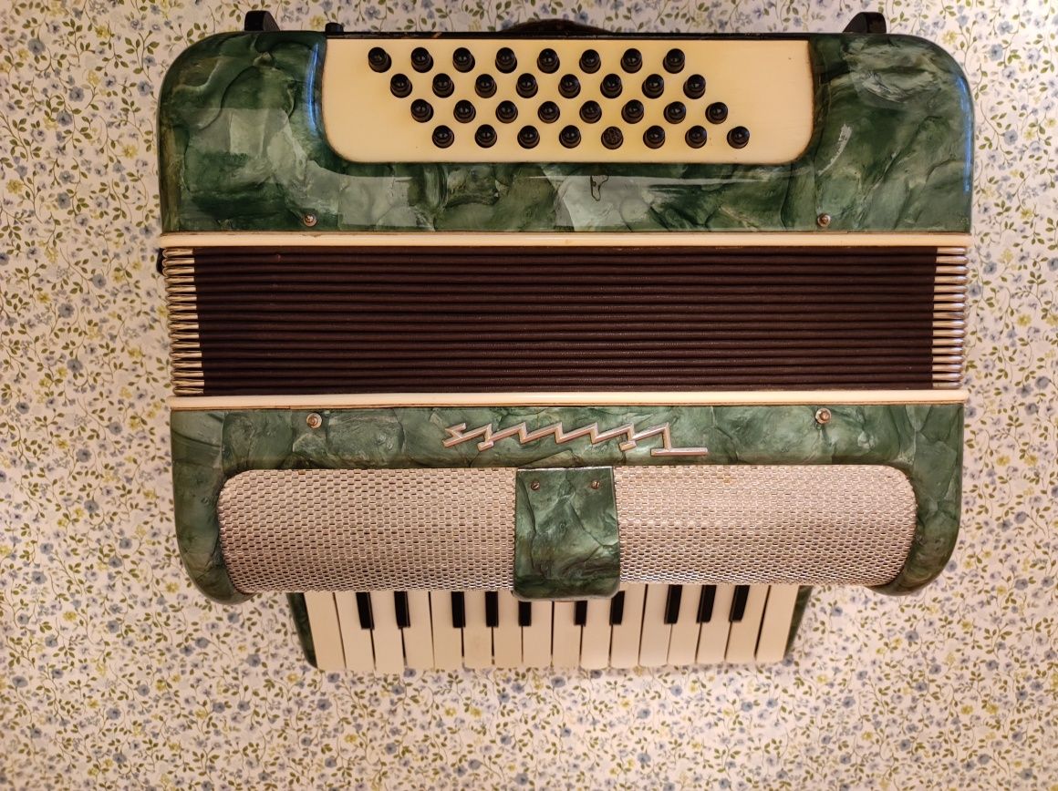 Acordeon Timis (copii)