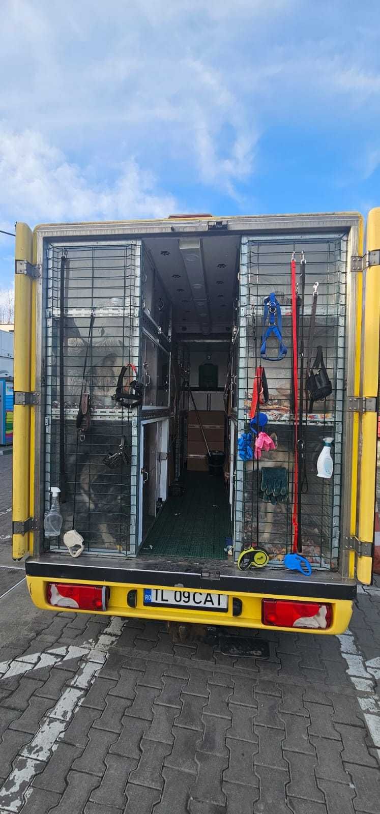 Transport autorizat caini si pisici - Ro, It, Fr, Es, Portugalia