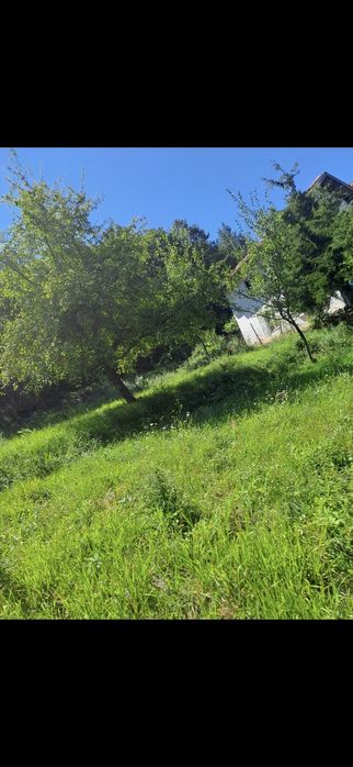 Дворно място в с. Ново Бърдо