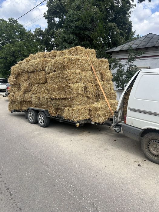 paie balotii sunt mari mai au si ceva iarba