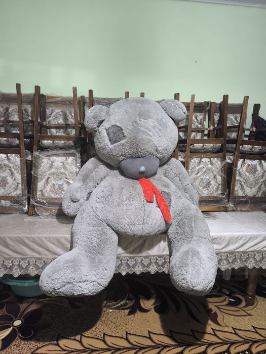 Teddy Ayiq holati Yaxshi bekor turibdi Sotiladi
