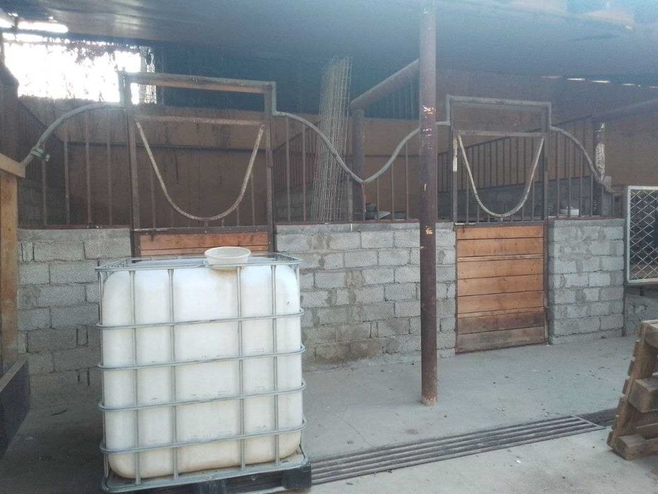 Уангиол тумани М39 йолида Уи сотилади фермаси билан