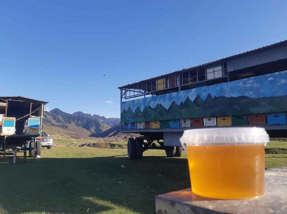 Мёд Натуральный с Восточно Казахстанской Области