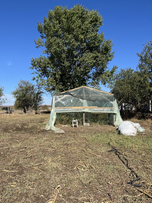 Proprietate completă cu teren de 5.300 mp