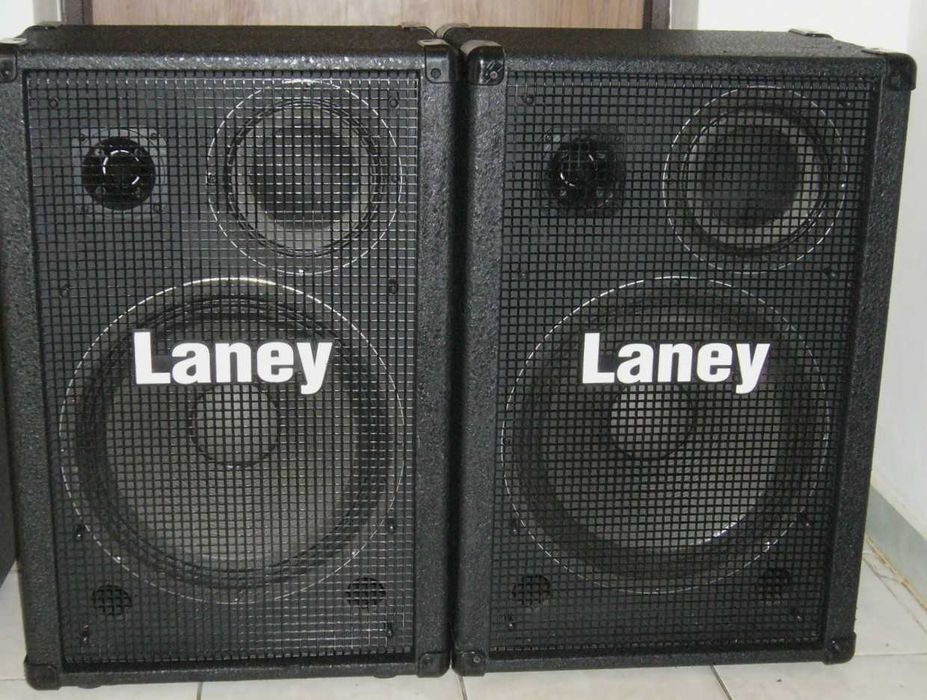 Boxe Profesionale 15" LANEY