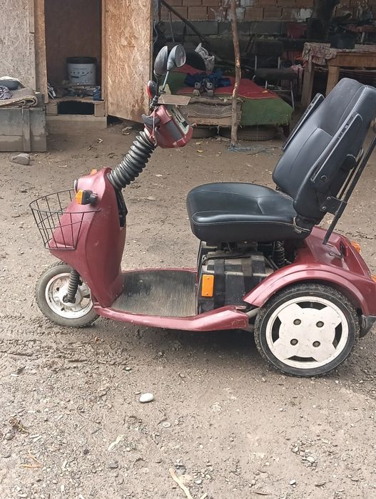 Căruț electric pentru persoane cu dizabilități