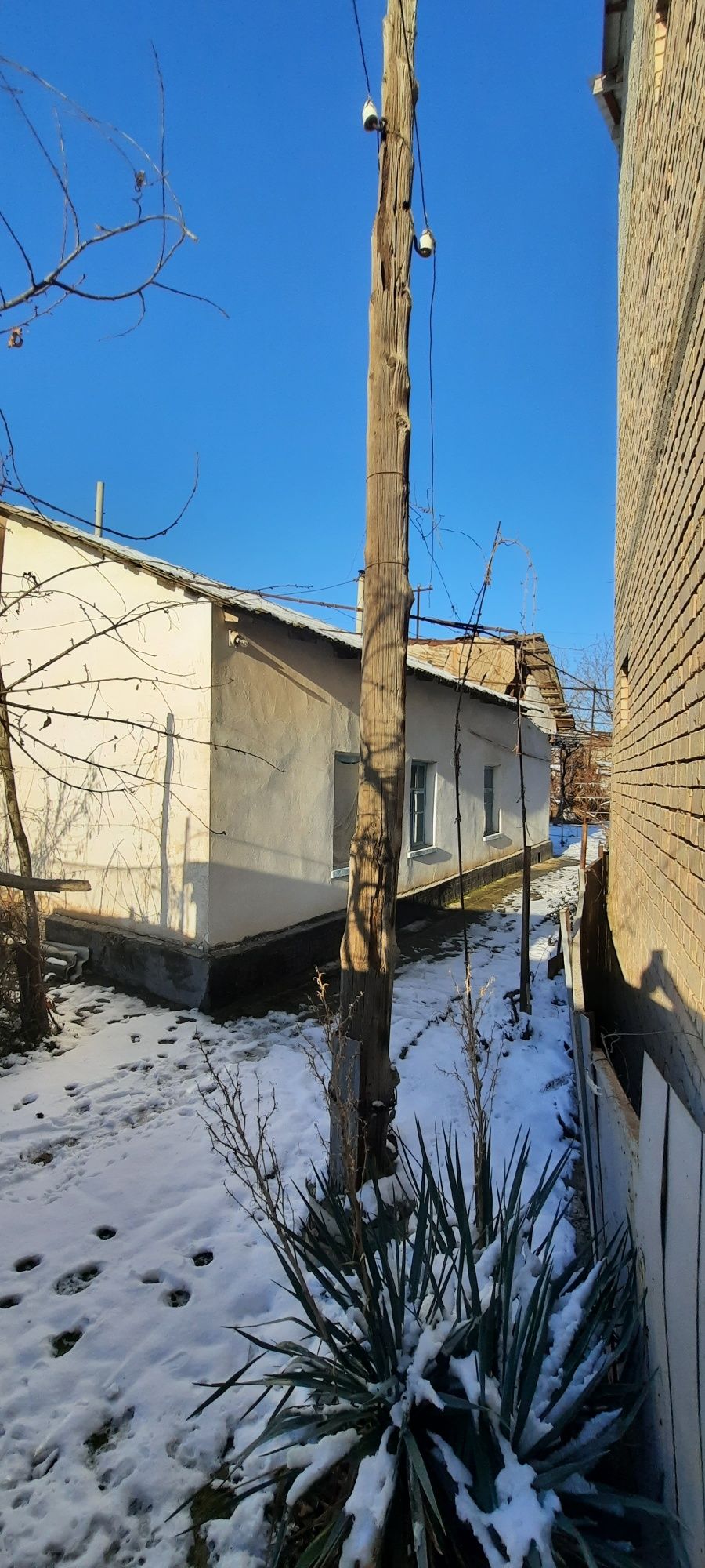 Кибрай цен.10сот.5х.бугор.