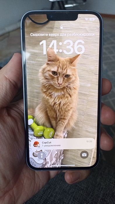 Iphone 14 (128 Гб ,Blue)