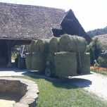 Baloți lucernă de vanzare
