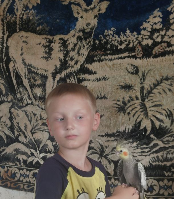 Волнистые попугаи молодые-3500 карэлы 12000.