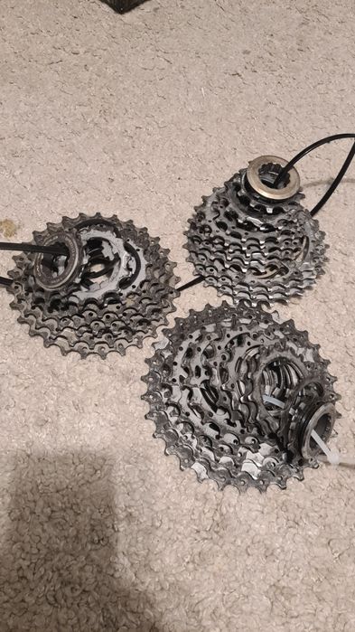 Caseta pinioane Campagnolo -  Chorus 11