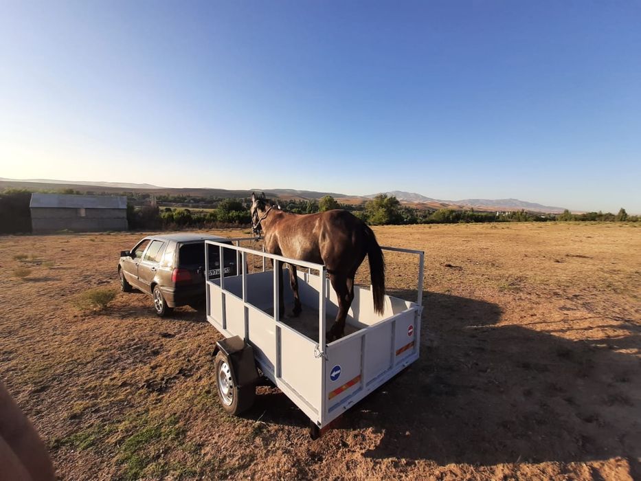 Прицеп машина  новый