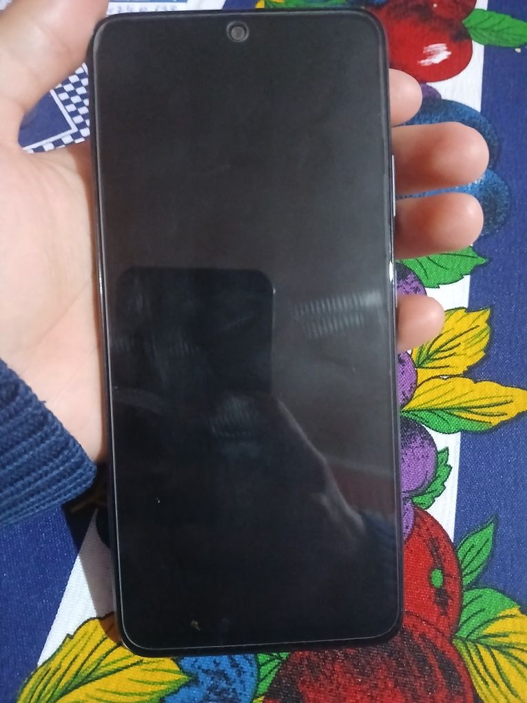Redmi Note 12 5G (China Version)