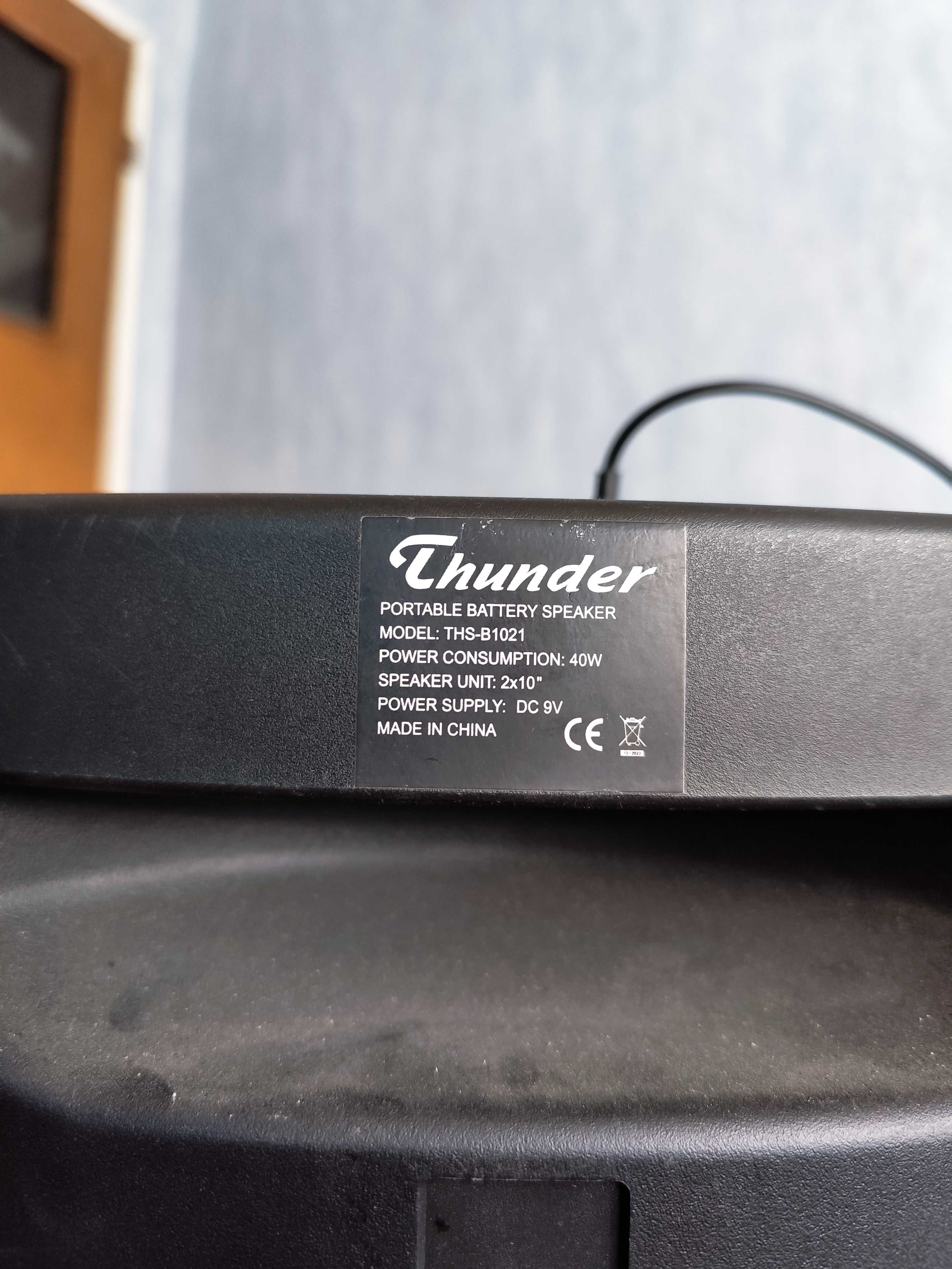 Караоке Тонколона 2 x 10" инча Thunder THS-B1021