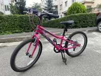 Bicicleta copii SUMMIT 20”