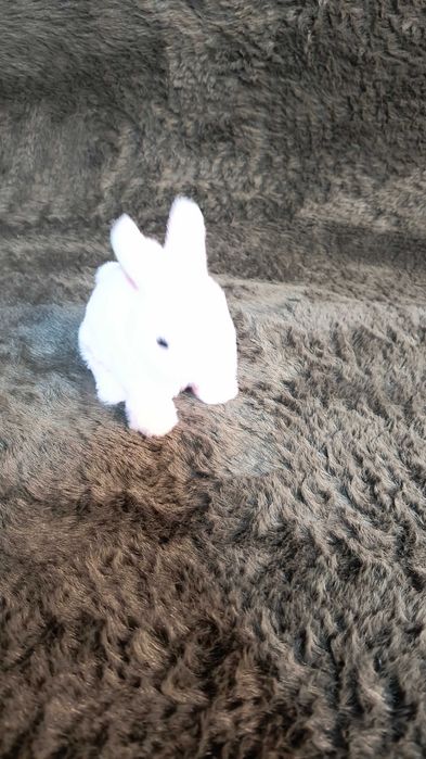 epuraș jucăuș cu baterii – topeie și aduce zâmbete!