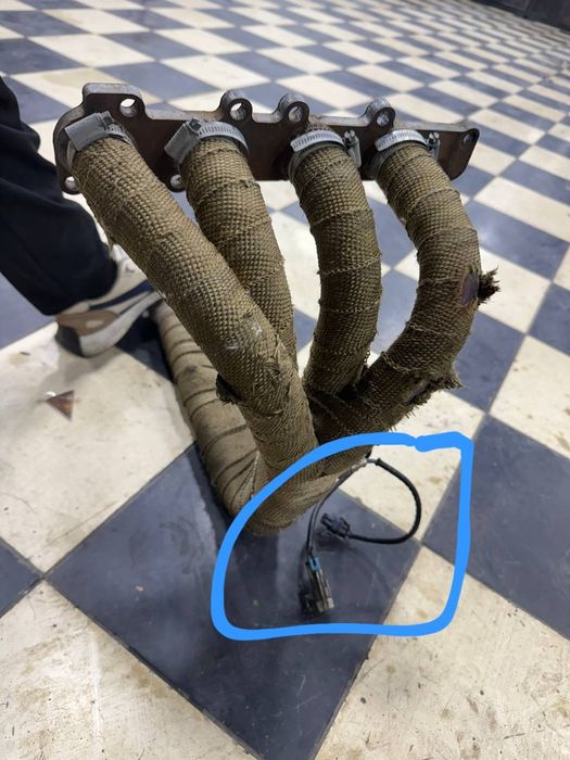 Паук жентрага 4.2.1