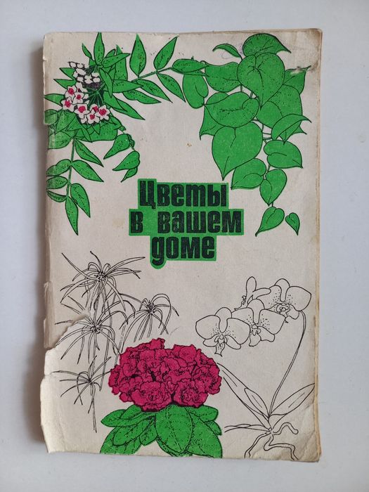 Цветы в вашем доме.