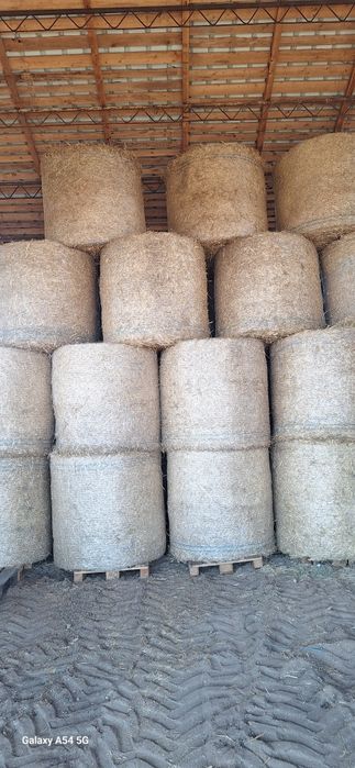 Baloți paie de grau 2025