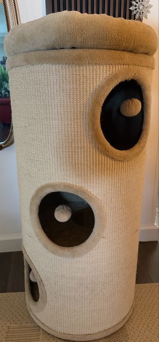 Ansamblu joaca pisici