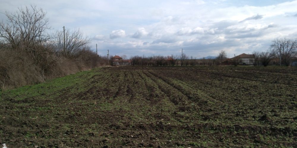 Дворно място с Къща,село Млекарево