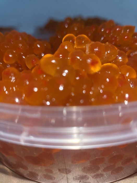 Красная икра Кета