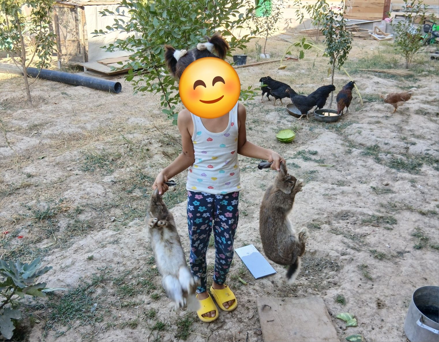 Quyonlar sotiladi