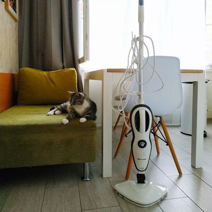 Паровая швабра китфорт