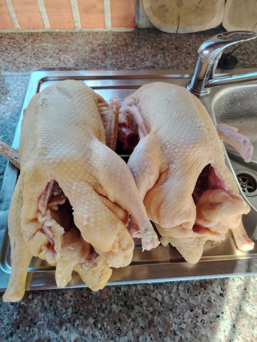 Raţe pentru consum sau reproductie