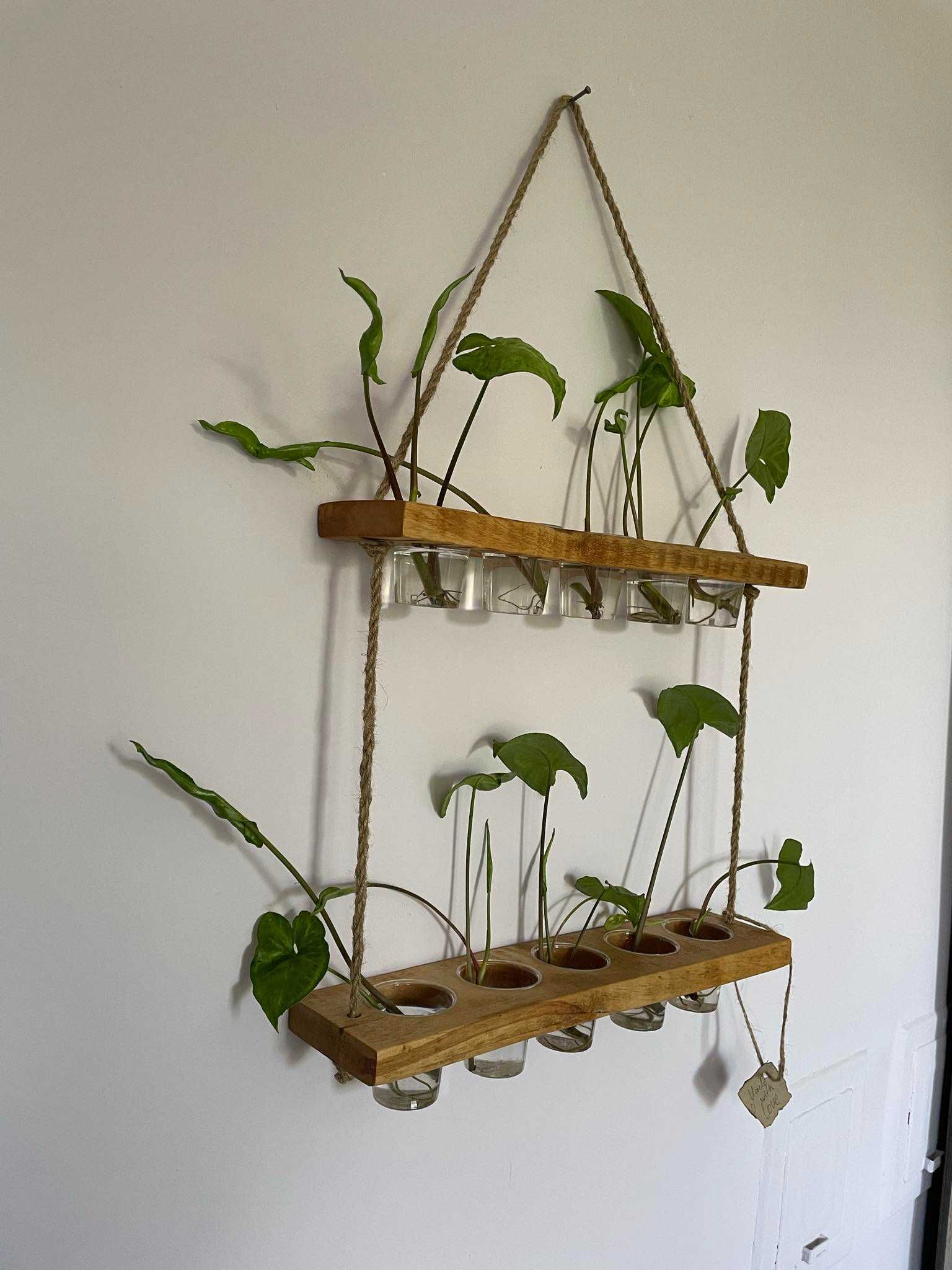 Handmade цветарник за водно размножаване с 10 отвора