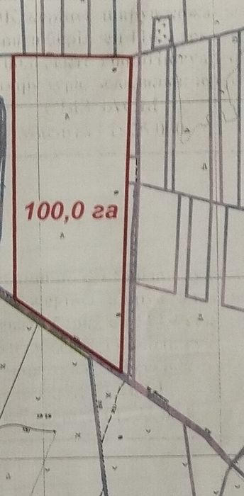 Земельный участок 100гаа.